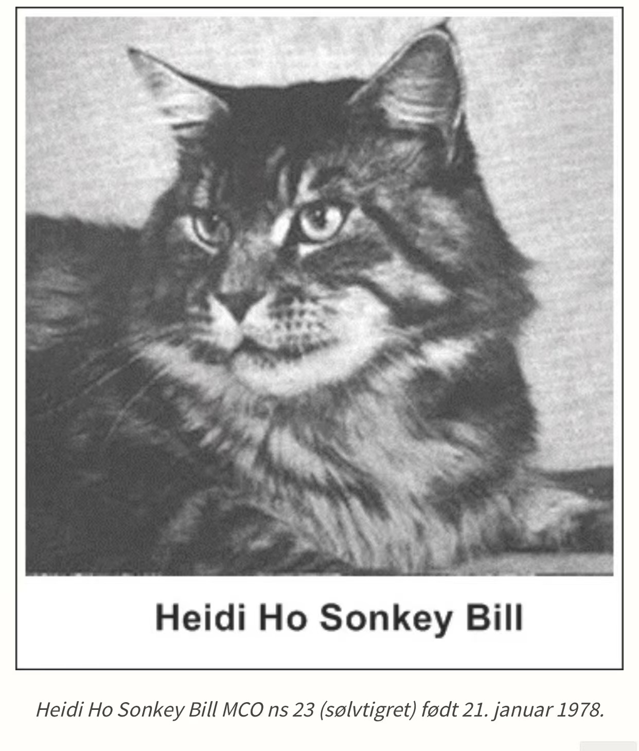 691968394